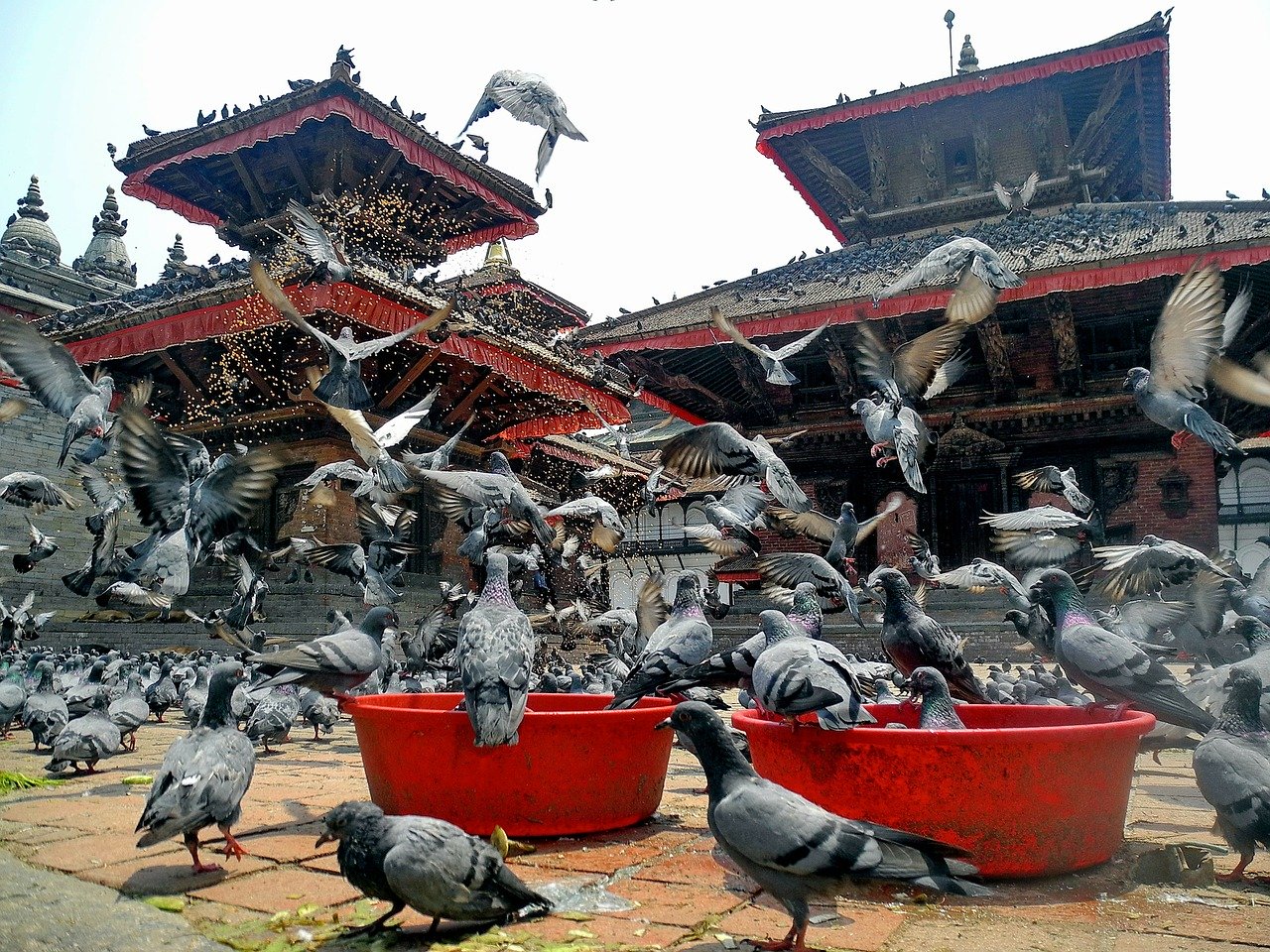 kathmandu-96564_1280.jpg